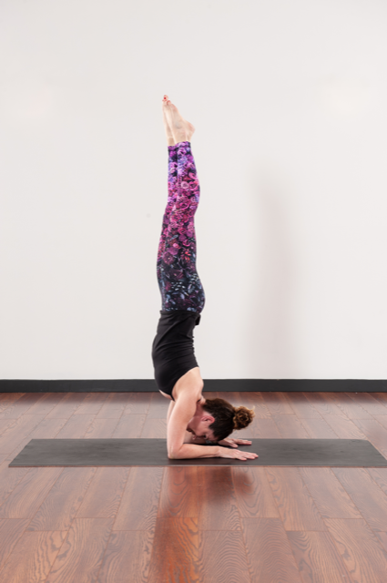 Man doing a Pincha Mayurasana yoga pose or Forearm Balance Stock Photo by  Photology75