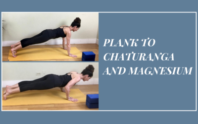 PLANK TO CHATURANGA